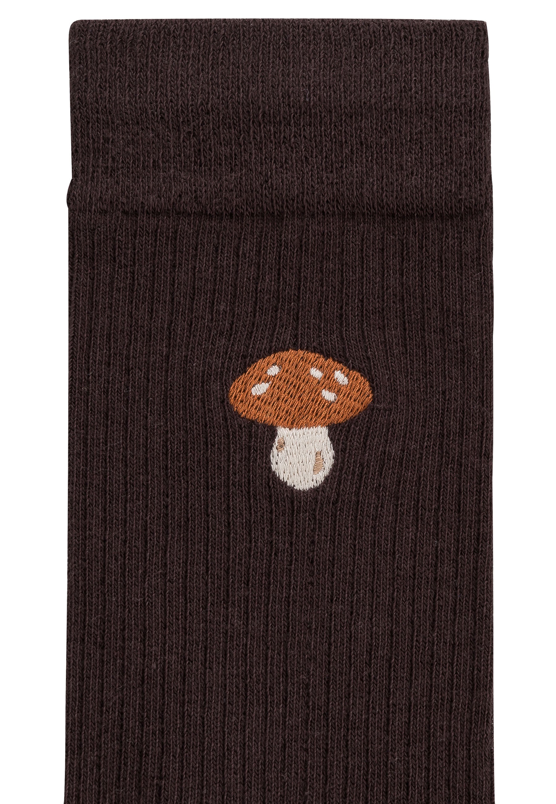 #Farbe_dunkelbraun - mushroom