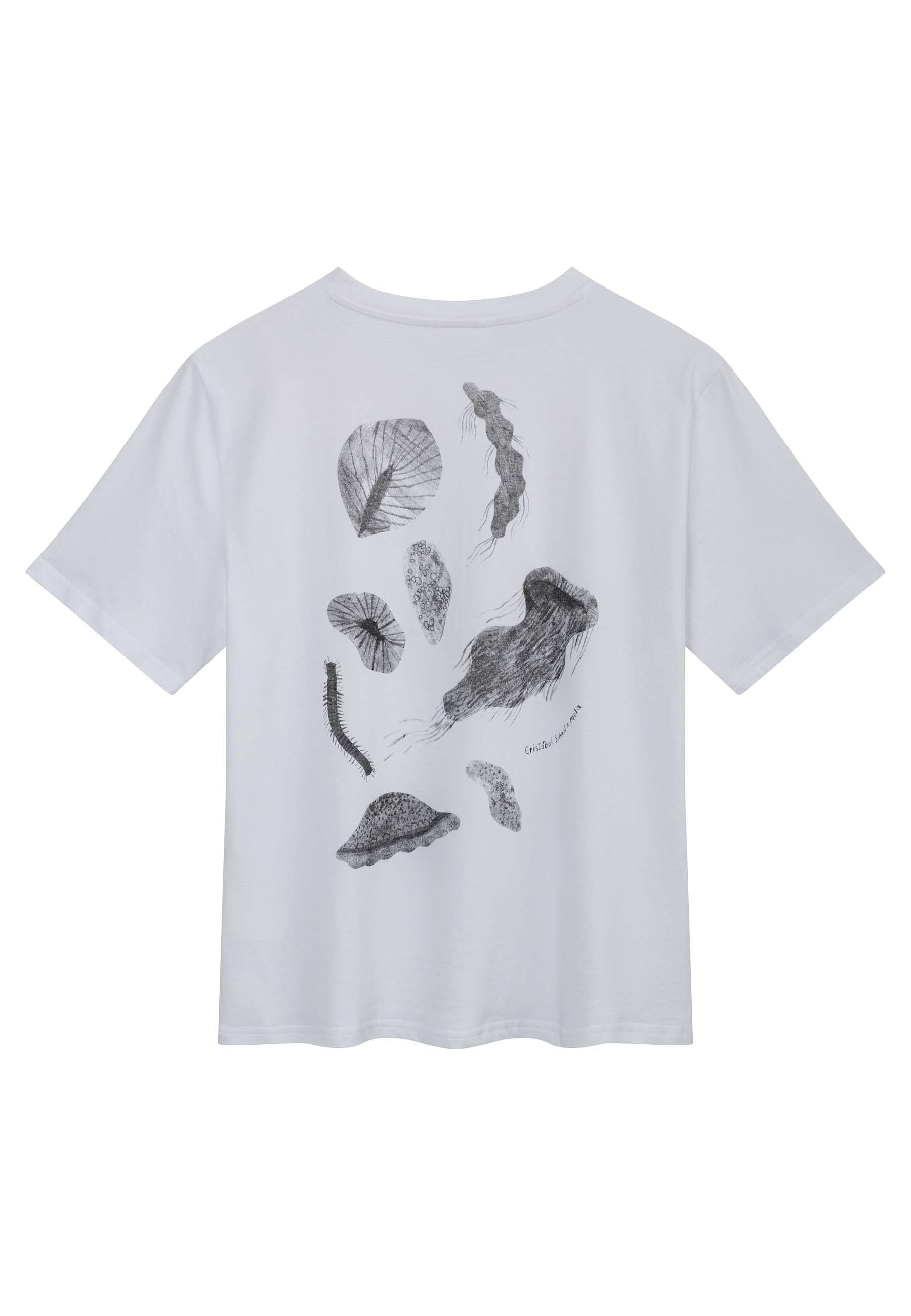 #Farbe_weiß / print ocean