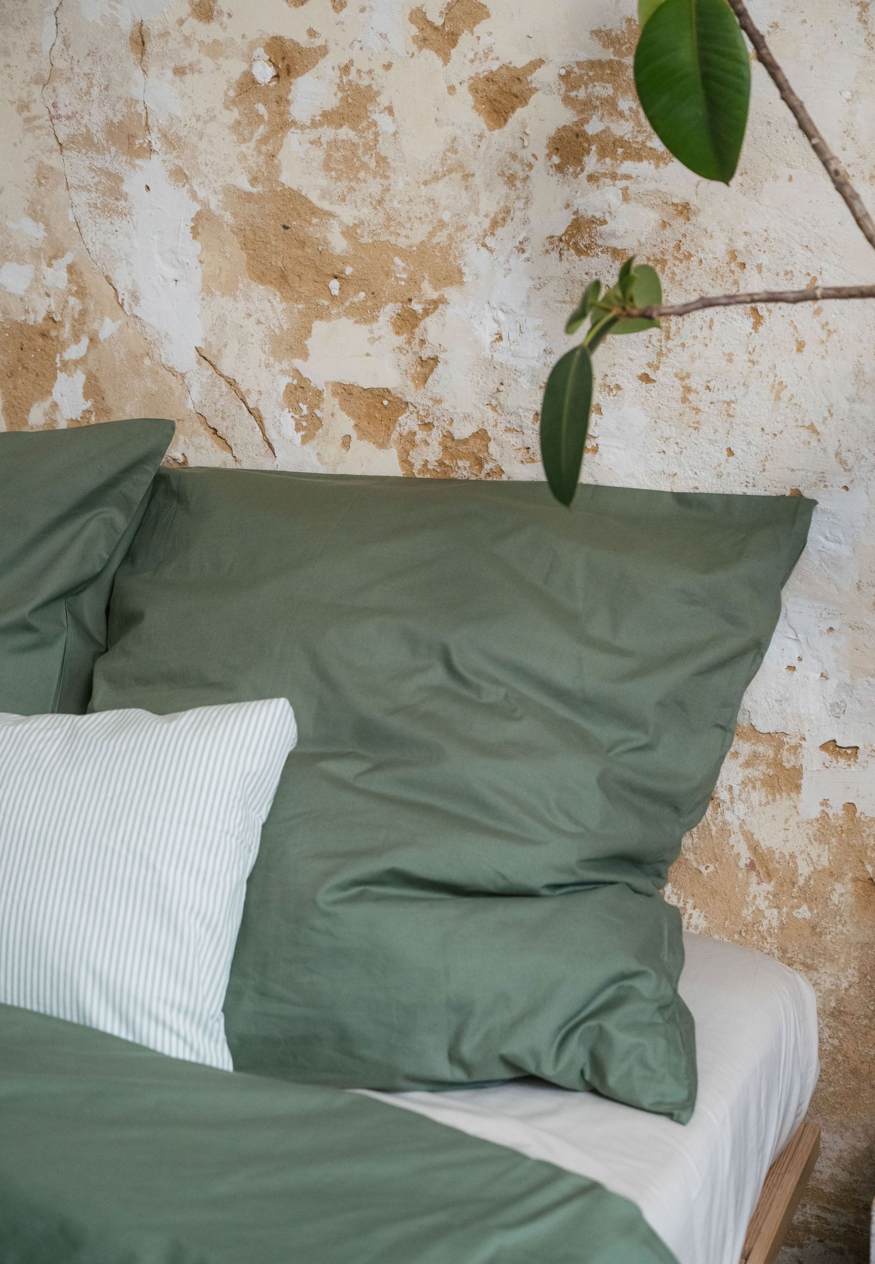 #Farbe_herbal green