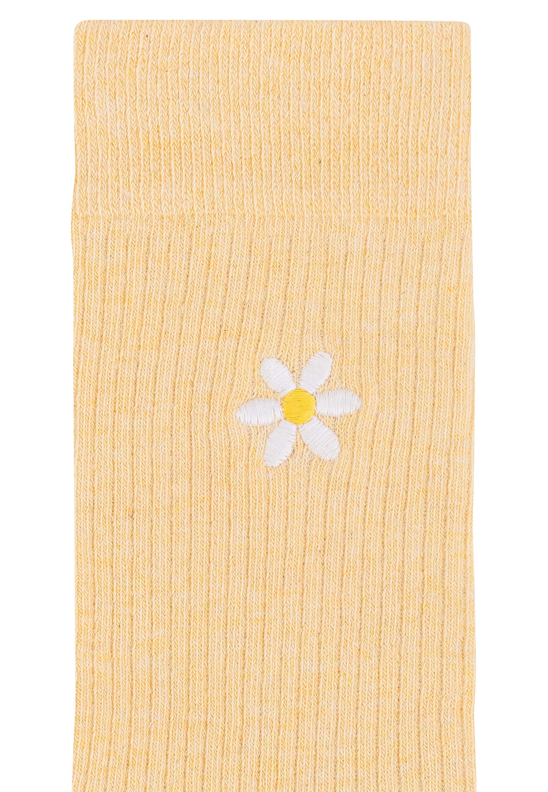 #Farbe_daisy / twin flower